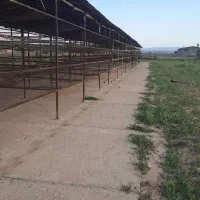 مشارکت در پرورش قارچ خوراکی و گیاهان و ماهی|خدمات باغبانی و درختکاری|تاکستان, |دیوار