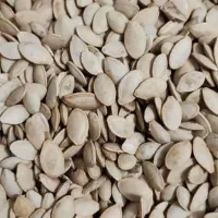 تخمه کدو درجه یک بدون یک دانه تلخی و خرابی|خوردنی و آشامیدنی|اصفهان, درب کوشک|دیوار