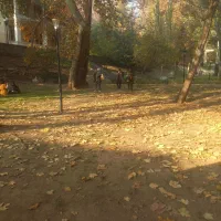 پیدا شده گم شده