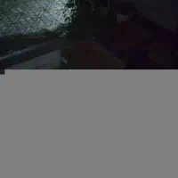 کارتن موز سالم ز