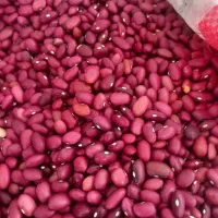 لوبیا کنجدآشی محلی و لوبیا قرمزچیتی  ازنا عدس لپه