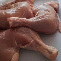 همکار ساده یا کار آموز خانم یا آقا