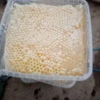 عسل موجود وصدرصده