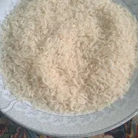 فروش برنج اعلا|خوردنی و آشامیدنی|جلین, |دیوار