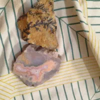 انواع عفیق کلکسیونی و کیلویی