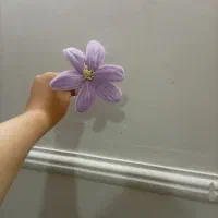قبولی سفارشات