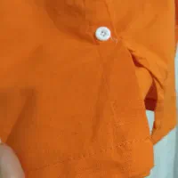 ساحلی قیمت مناسب