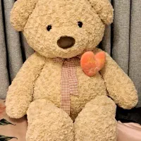 خرس بزرگ خارجی