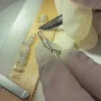 کات ابرو انجام میدم