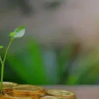 شراکت و سرمایه گذاری