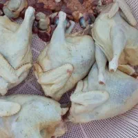 خروس کبابی تازه پاک شده