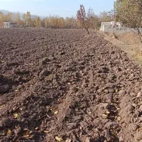 باغ بالاتر از رحیم لینچان