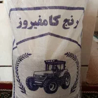 انواع برنج محلی و ایرانی|خوردنی و آشامیدنی|شیراز, شهرک مطهری|دیوار