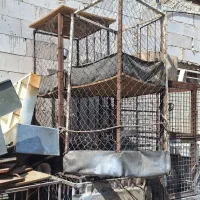 قفس|لوازم جانبی حیوانات|مشهد, مهدی آباد|دیوار