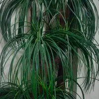 درخچه مصنوعی