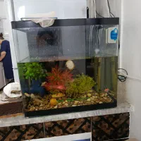 آکواریوم شیشه خم