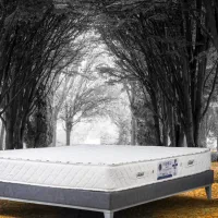 تشک با ضمانت و کیفیت درجه یک