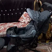 کالسکه و کریر مارک دلیجان