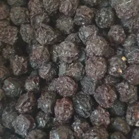 آلبالو خشک ارگانیک پیوند گیلاس امسال