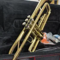 ترومپت آلوی allwey