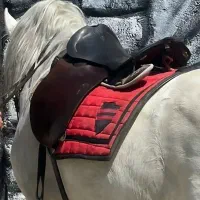 زین اسب با کیفیت درحد نو