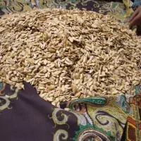 یک کیسه برنجی هست تخم خربزه