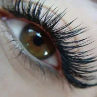 مدل رایگان برای آموزش به هنرجو توسط مربی