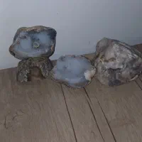 سنگ|کلکسیون اشیاء عتیقه|بهارستان, |دیوار