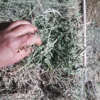 پرس یونجه چین ۵ پایه کوتاه گل خالی