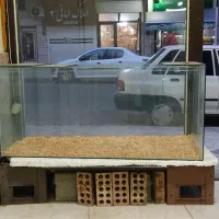 شیشه ویترینی