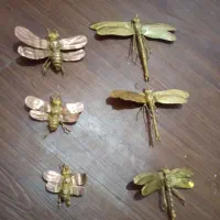 سنجاقک برنج