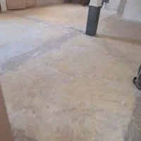 همخونه