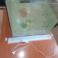 آکواریوم شیشه رم لس