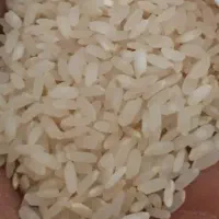 برنج کامفیروزی بشرط پخت