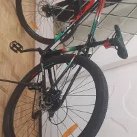 دوچرخه سایز۲۹ آلپینا|دوچرخه، اسکیت، اسکوتر|بیجار, |دیوار