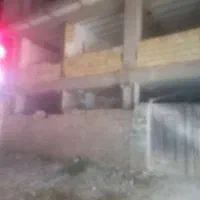 کارگر حرفه ی برای بنایی