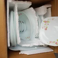 سرویس ارکوپال نو