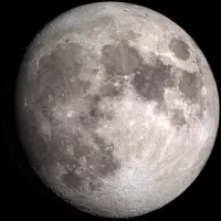 نیازمند 3 نفر ترسو