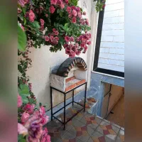 سوییت ماندگار|اجارهٔ کوتاه‌مدت ویلا و باغ|مشگین شهر, |دیوار