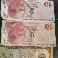 پول قدیمی|کلکسیون سکه، تمبر، اسکناس|شبستر, |دیوار