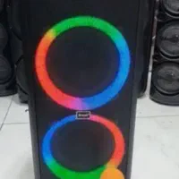 اسپیکر برودو با میکروفون