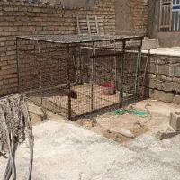 قفس بزرگ حیوانات