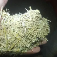 خدمات باغبانی و درختکاری