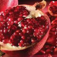 توزیع میوه و تره بار جهت کارخانجات و هایپرمارکت ها|خوردنی و آشامیدنی|تهران, میدان میوه و تره‌بار مرکزی|دیوار