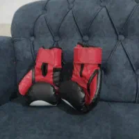 دست کش بوکس