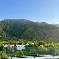 1800متر-زمین-سند-دار-بافت-چلک-قواره-دوم-جنگل