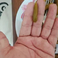 خیارشور حلب ،دبه،پت|خوردنی و آشامیدنی|شیراز, محراب|دیوار