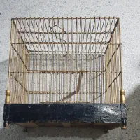 قفس سهره|لوازم جانبی حیوانات|تهران, امیریه|دیوار