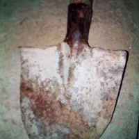 بیل چه قدیمی