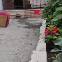 اجاره شبانه واحد تک خوابه|اجارهٔ کوتاهمدت آپارتمان و سوئیت|چالوس, |دیوار